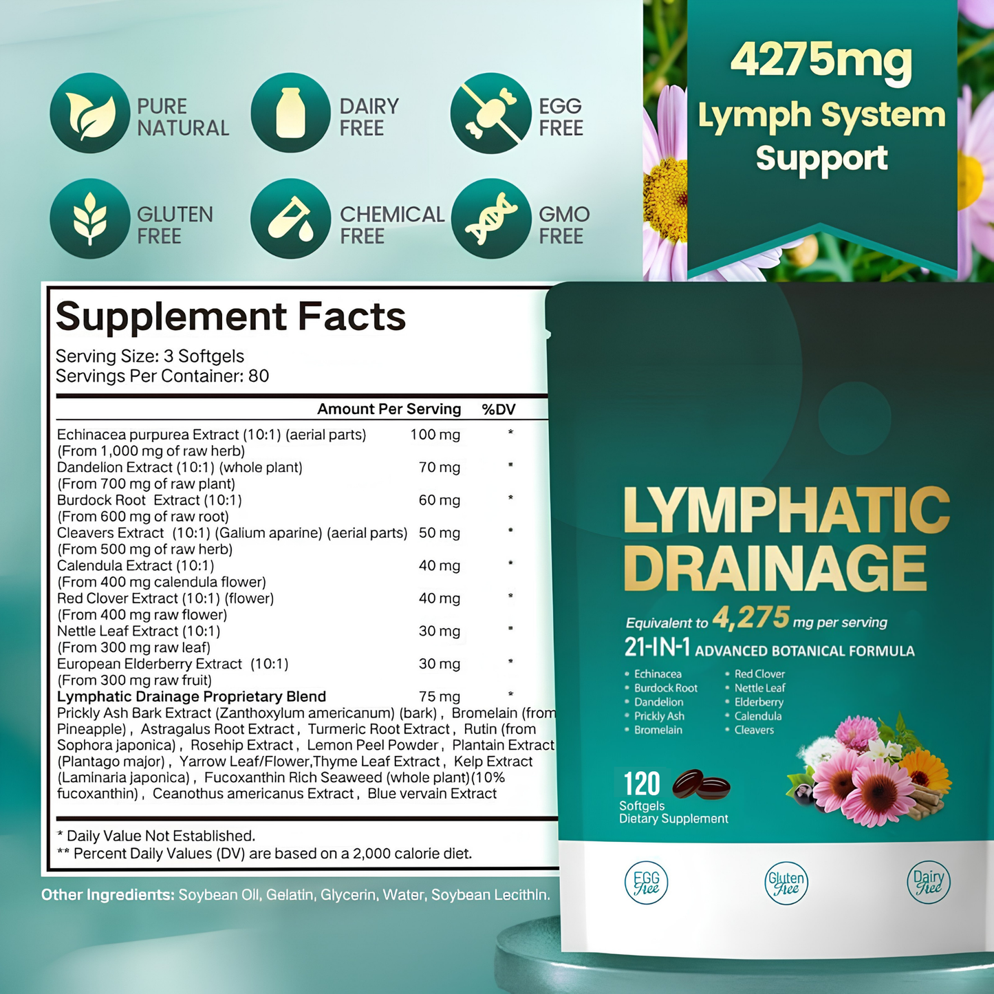 Lymphatic – Soutient la circulation lymphatique