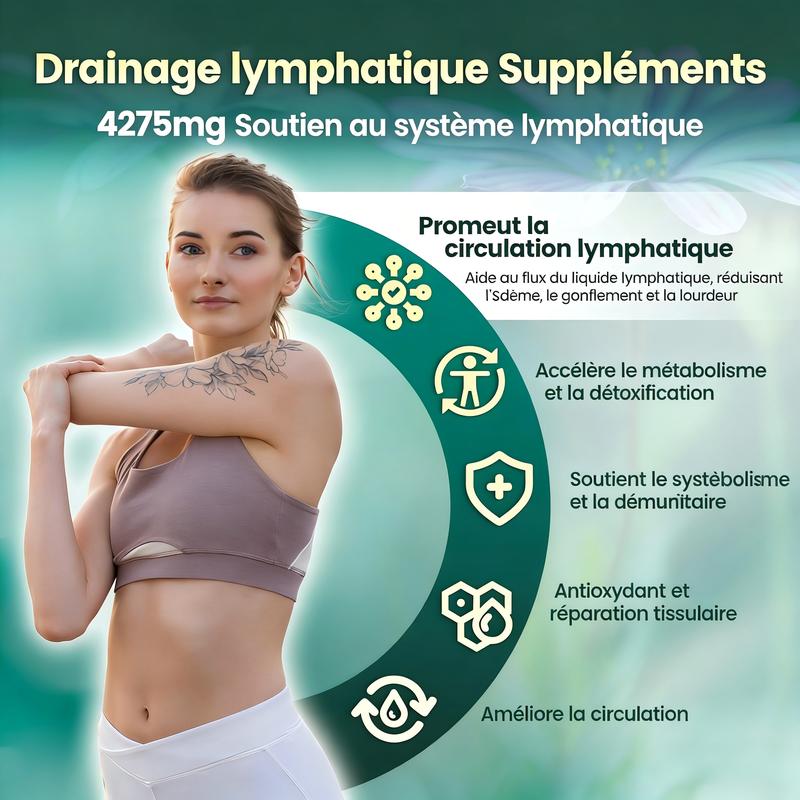 Lymphatic – Soutient la circulation lymphatique