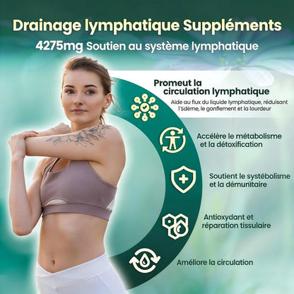 Lymphatic – Soutient la circulation lymphatique