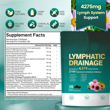 Lymphatic – Soutient la circulation lymphatique
